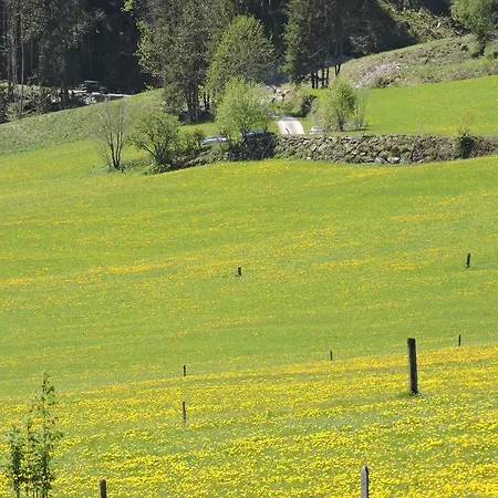 Haus Moesenlechner *