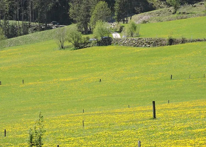 Haus Moesenlechner *