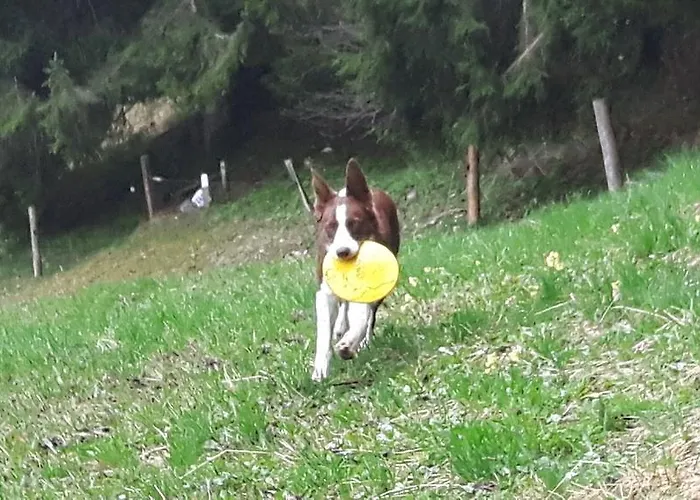 아파트 Haus Moesenlechner 마이스호펜